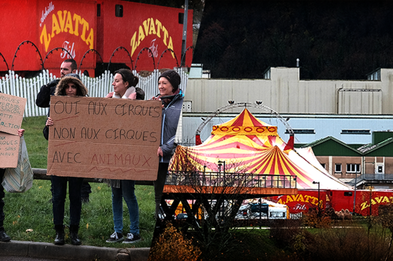 Manifestation contre le cirque Zavatta